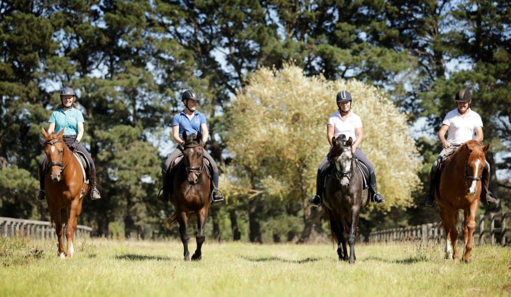 Equine Courses By Andrew Mclean Esi International