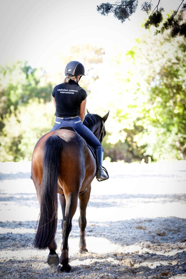 Equitation Science, Equine Training Online Courses by ESI International