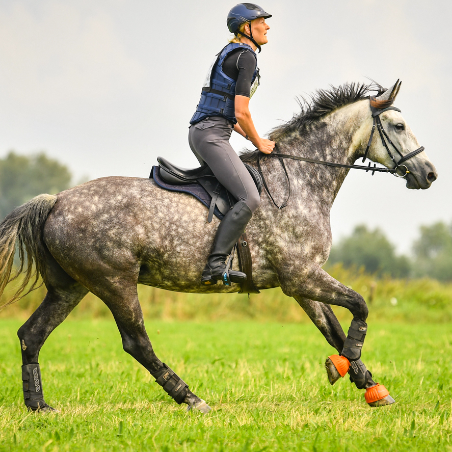 20240810 SGW West-Betuwe -Lois-B