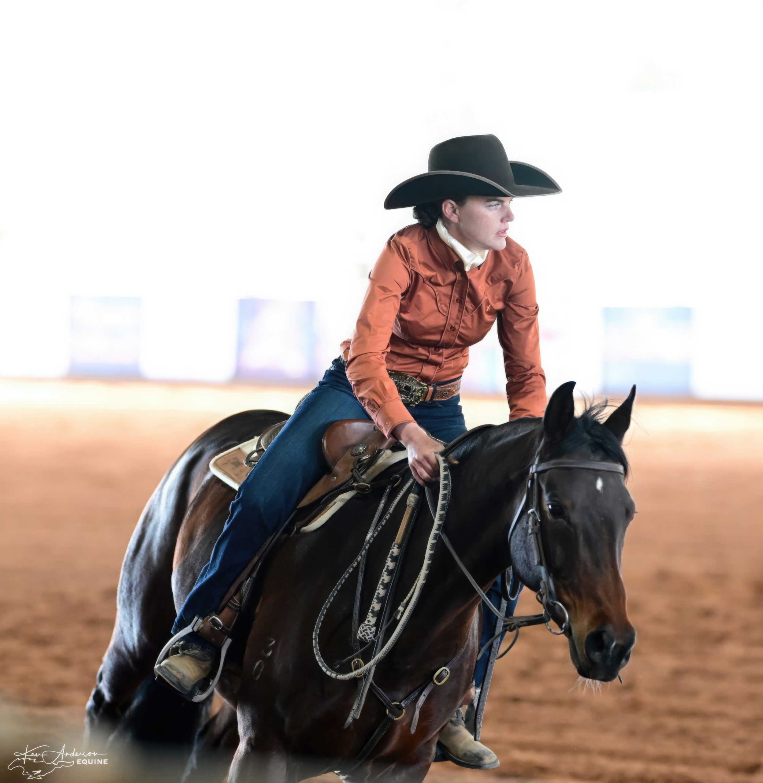 192-PCR DRY WORK ROOKIE PLUS OPEN 868-gigapixel-standard v2-2x-gigapixel-standard v2-2x